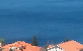 Sunny Blue apartments